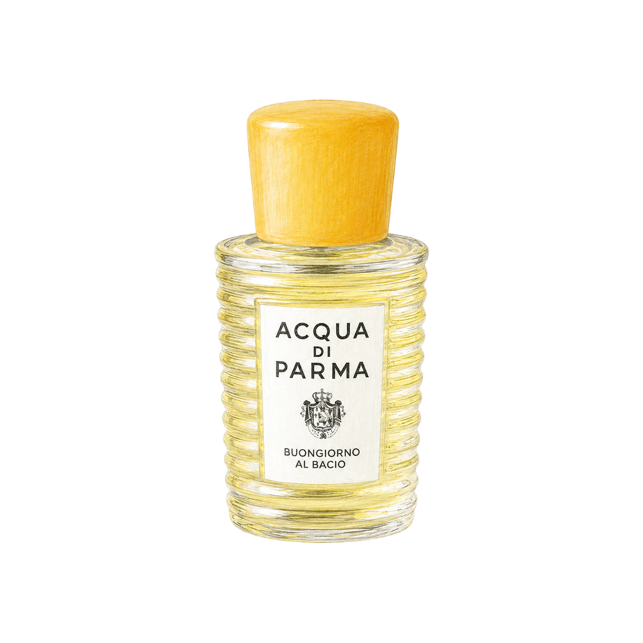 Acqua di Parma ブォンジョルノ アル バーチョの編集部制作色鉛筆イラスト
