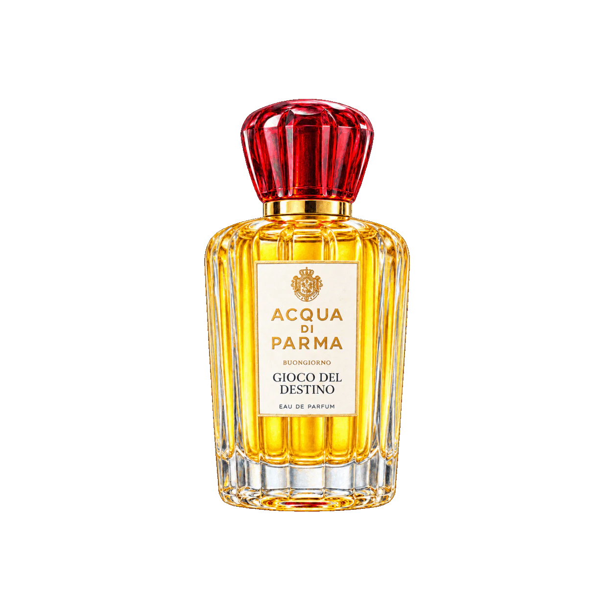 Acqua di Parma ブォンジョルノ ジョーコ デル デスティーノの編集部制作色鉛筆イラスト