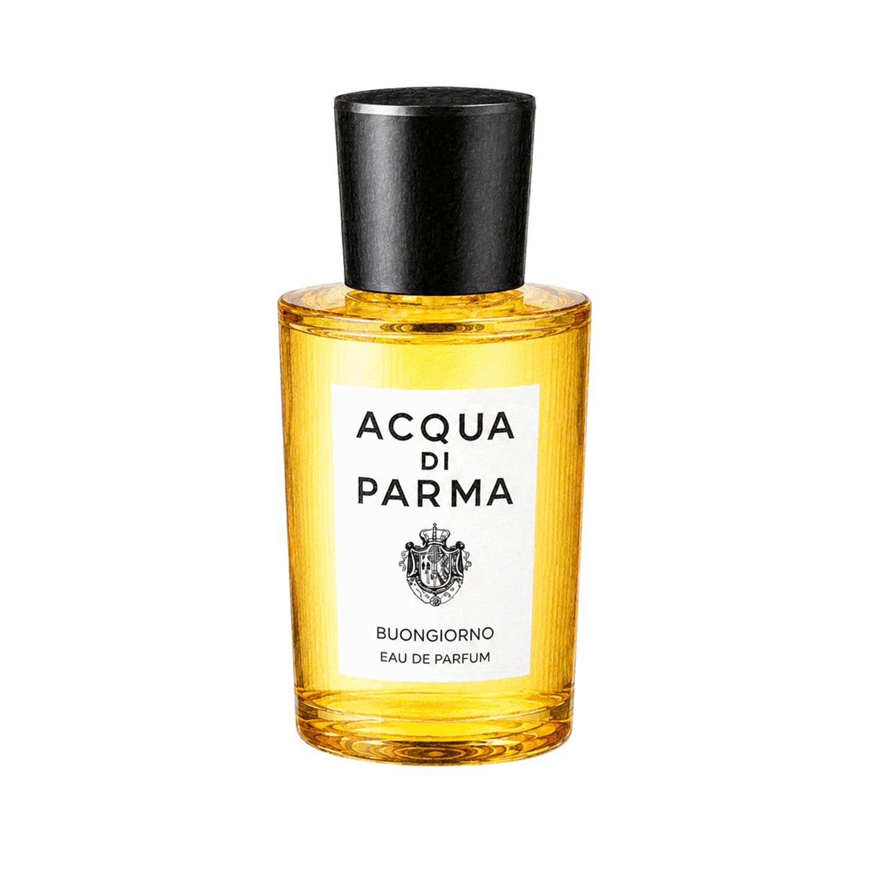 Acqua di Parma ボンジョールノの編集部制作色鉛筆イラスト
