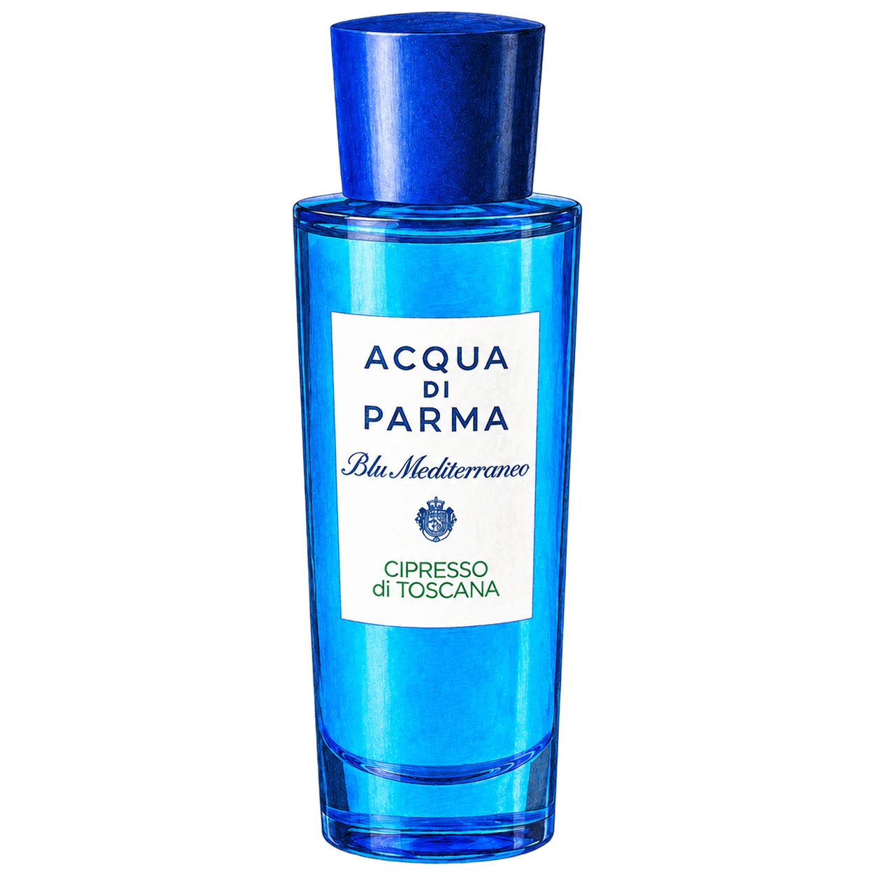 Acqua di Parma チプレッソ ディ トスカーナの編集部制作色鉛筆イラスト
