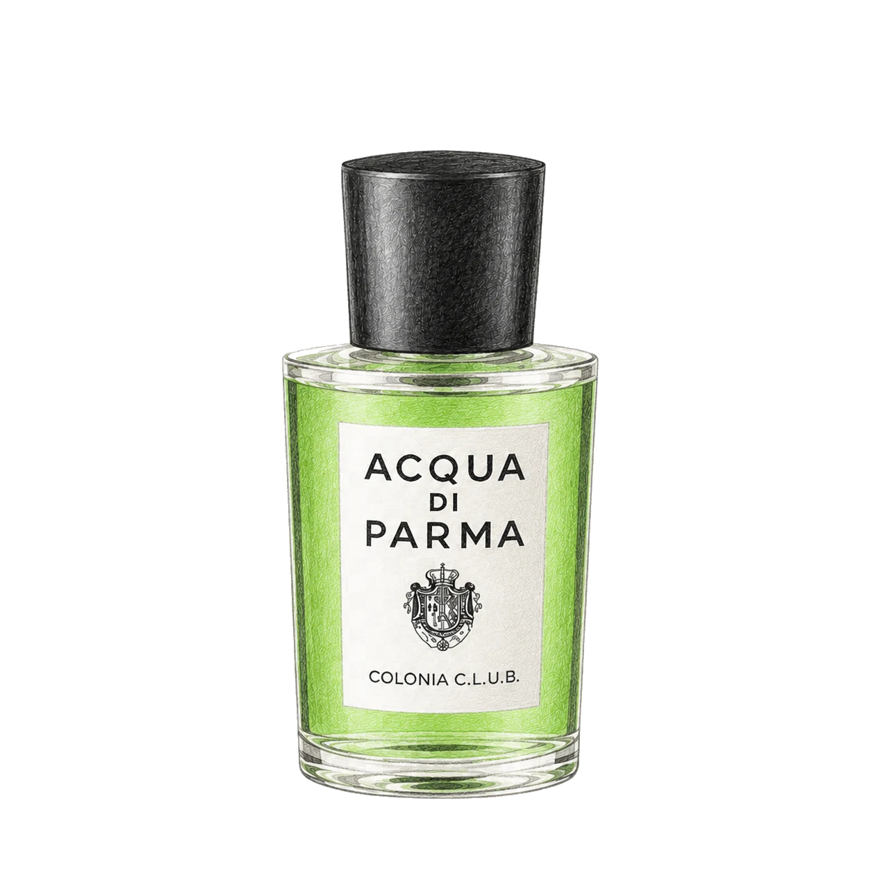 Acqua di Parma コロニア C.L.U.B.の編集部制作色鉛筆イラスト