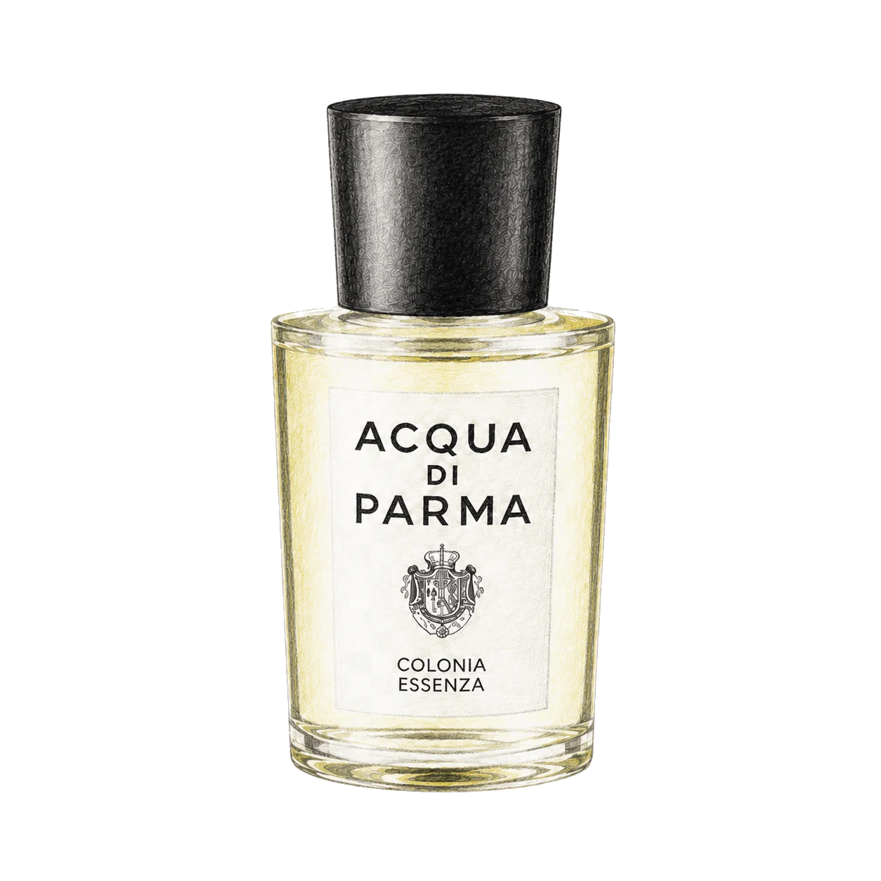 Acqua di Parma コロニア エッセンツァの編集部制作色鉛筆イラスト