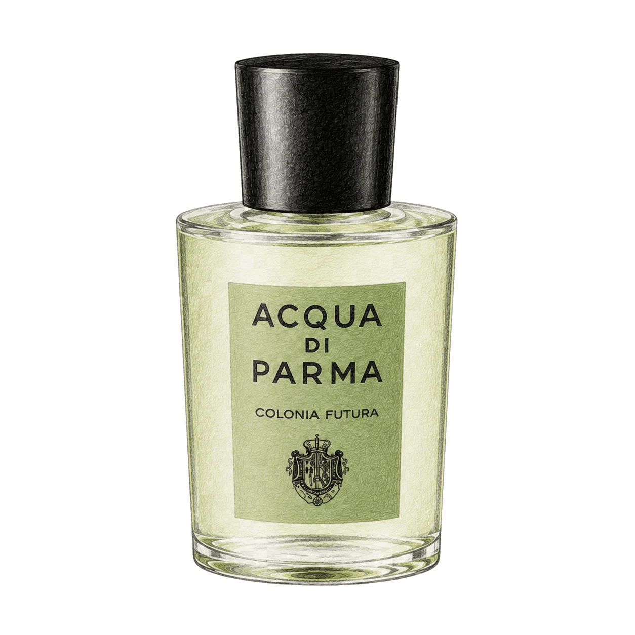 Acqua di Parma コロニア フトゥーラの編集部制作色鉛筆イラスト