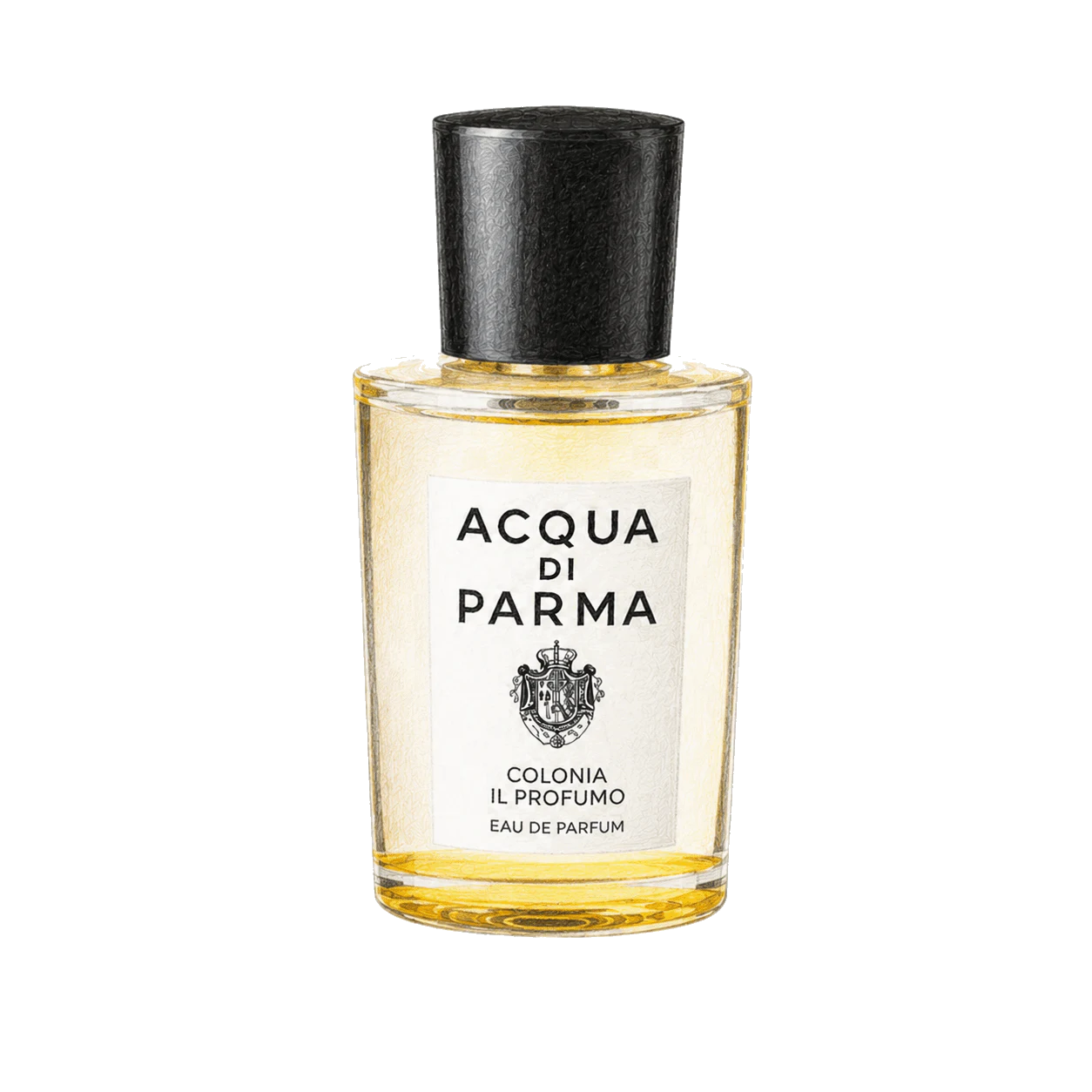 Acqua di Parma コロニア イル プロフーモの編集部制作色鉛筆イラスト