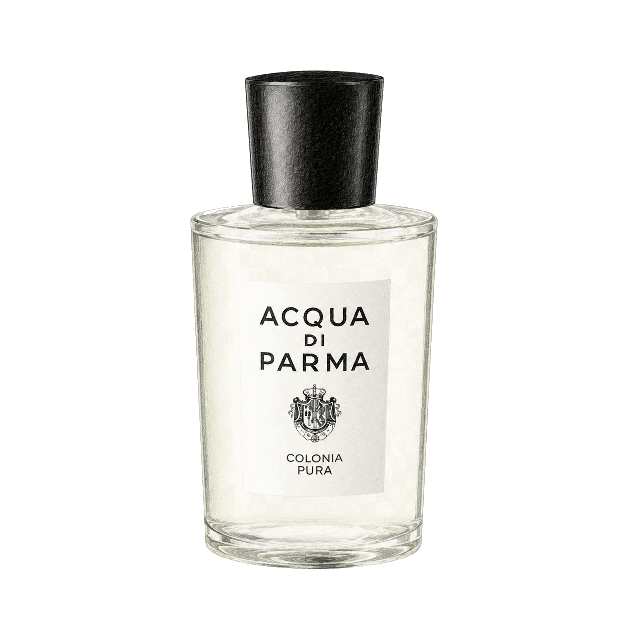 Acqua di Parma コロニア プーラの編集部制作色鉛筆イラスト