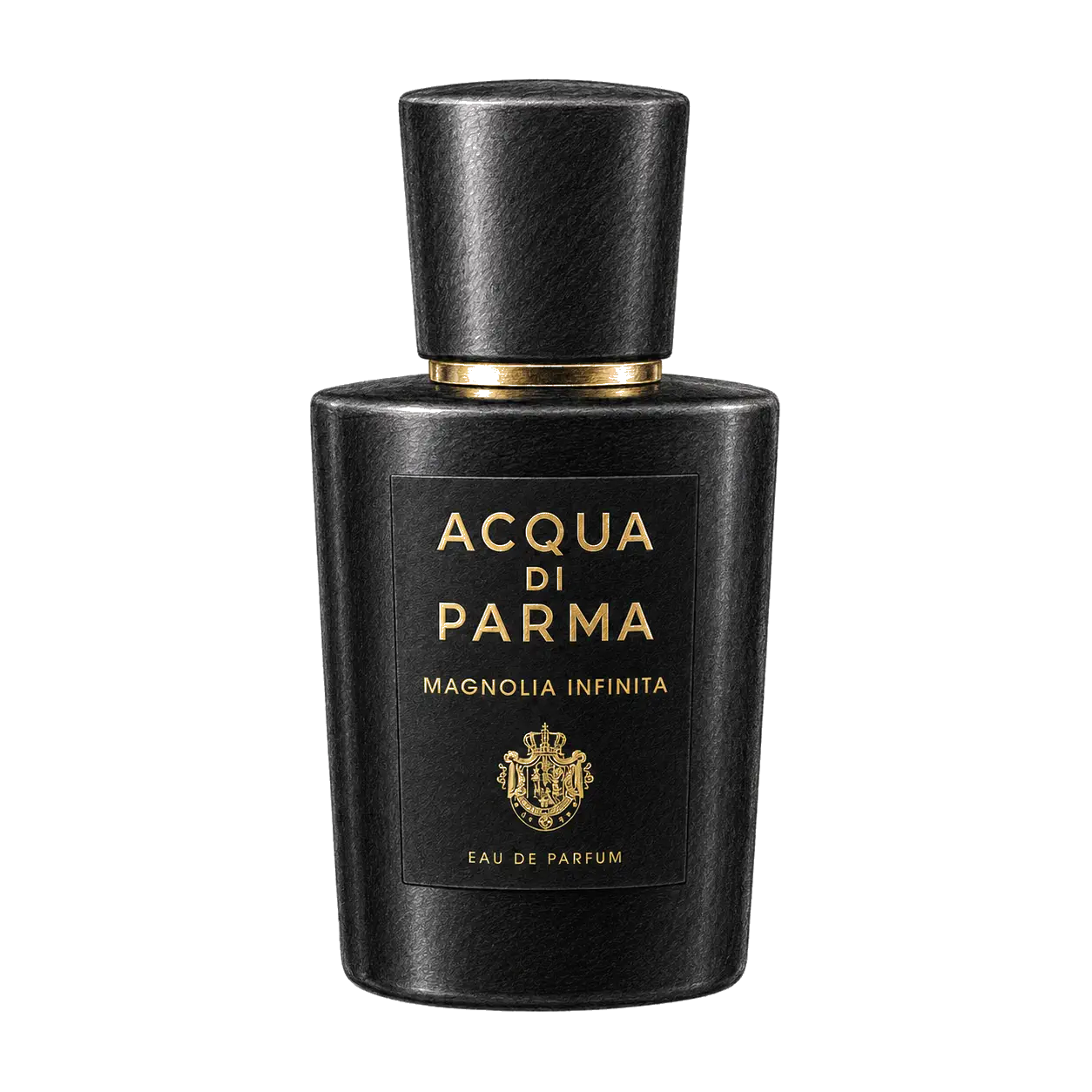 Acqua di Parma マグノリア インフィニタの編集部制作色鉛筆イラスト