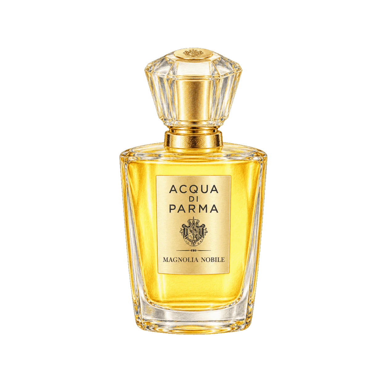 Acqua di Parma マグノリア ノービレの編集部制作色鉛筆イラスト