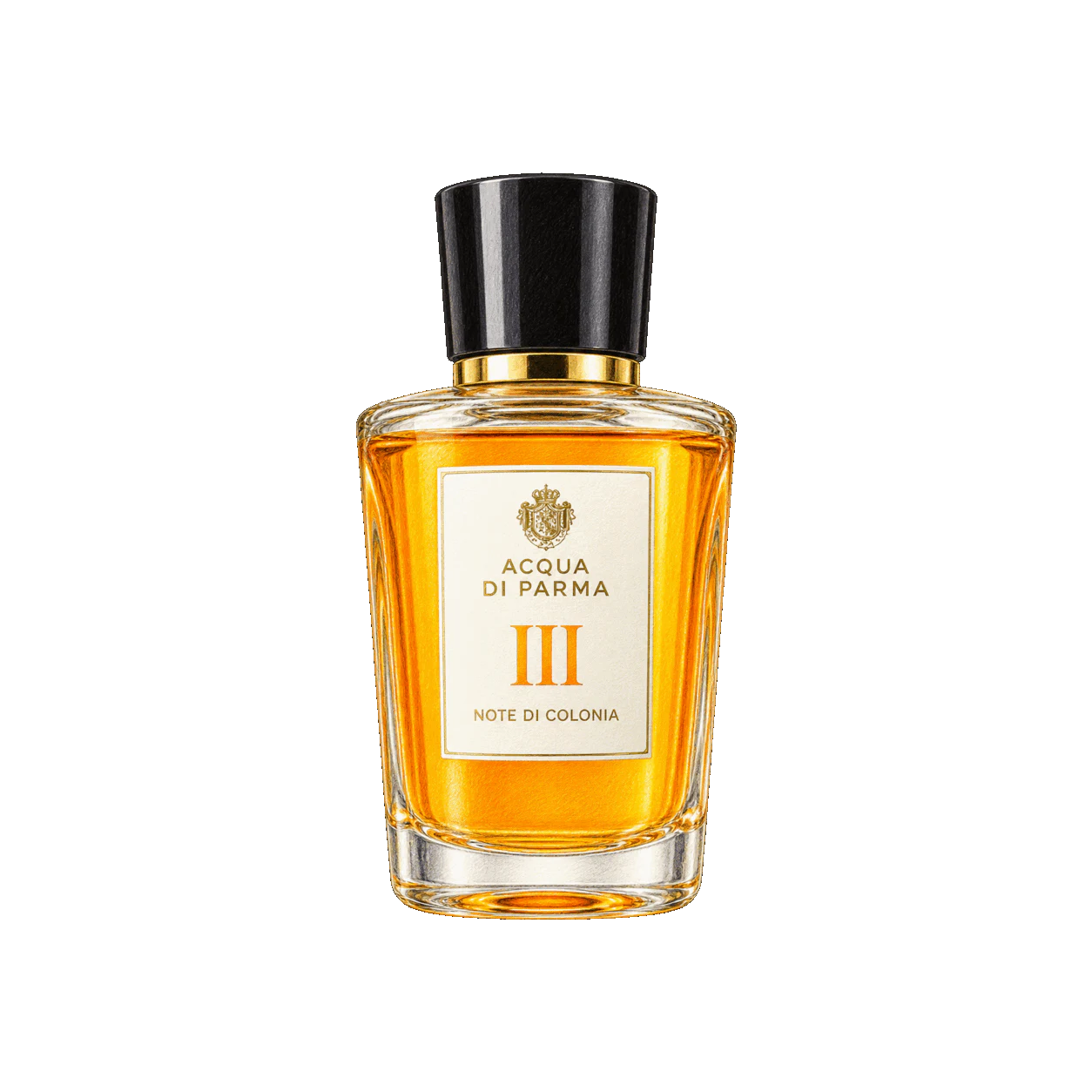 Acqua di Parma ノート ディ コロニア IIIの編集部制作色鉛筆イラスト