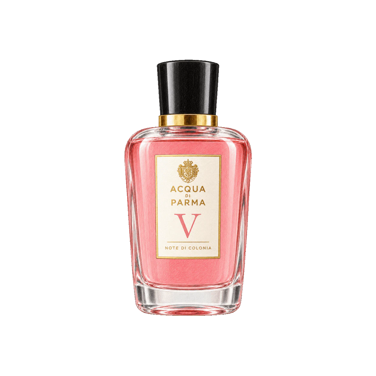 Acqua di Parma ノート ディ コロニア Vの編集部制作色鉛筆イラスト