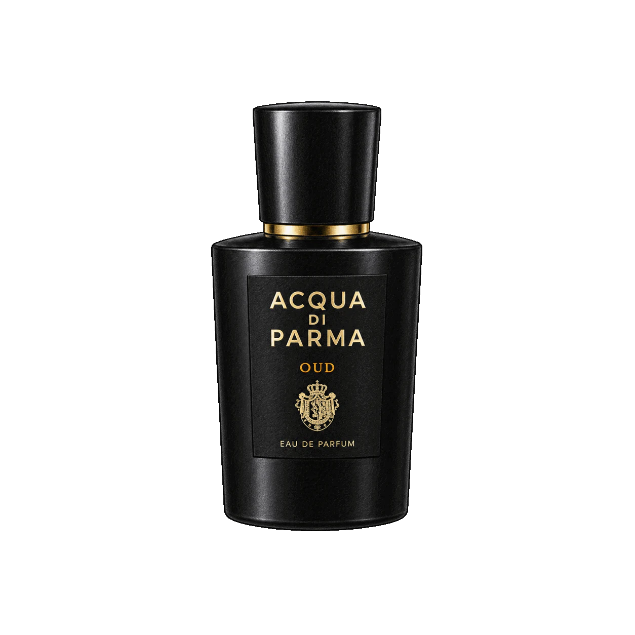 Acqua di Parma ウードの編集部制作色鉛筆イラスト