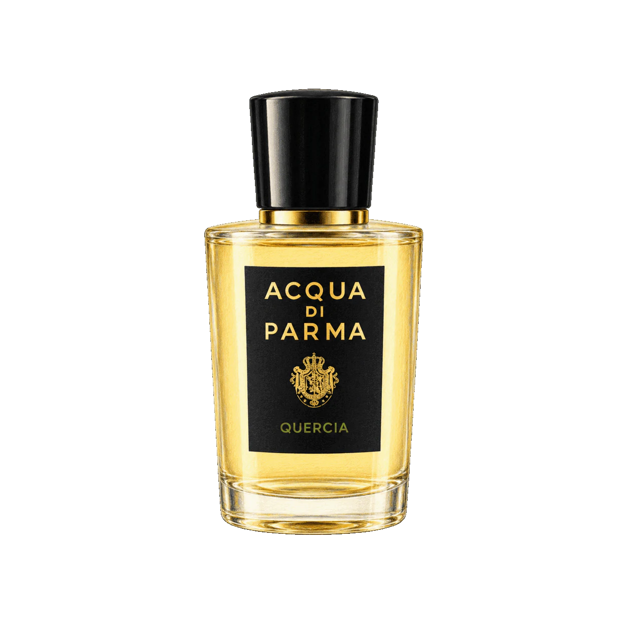 Acqua di Parma ケルシアの編集部制作色鉛筆イラスト