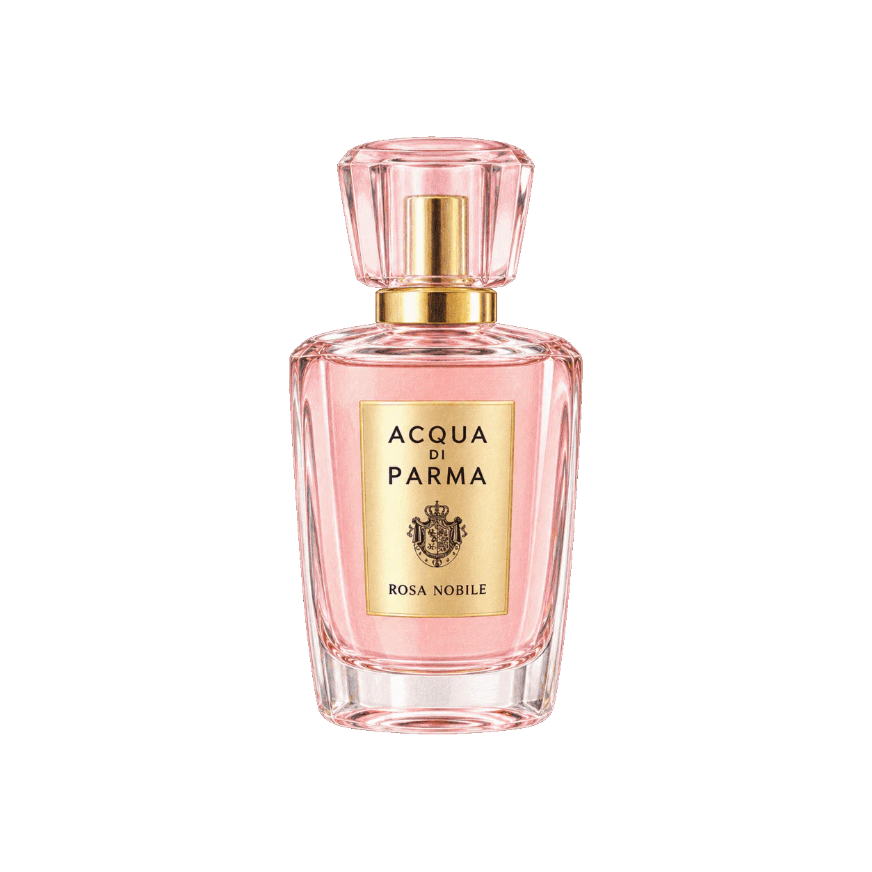 Acqua di Parma ローザ ノービレの編集部制作色鉛筆イラスト
