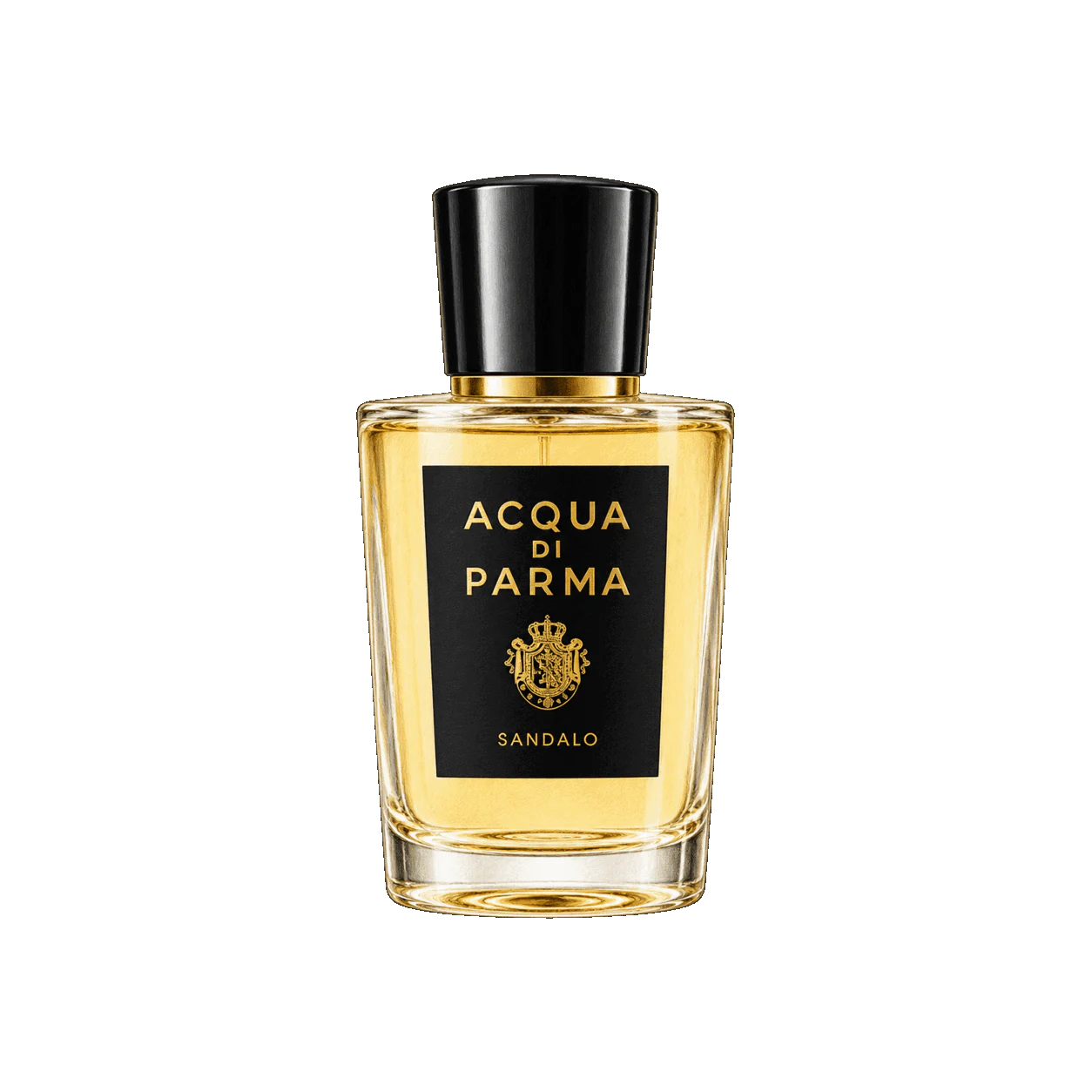 Acqua di Parma サンダーロの編集部制作色鉛筆イラスト