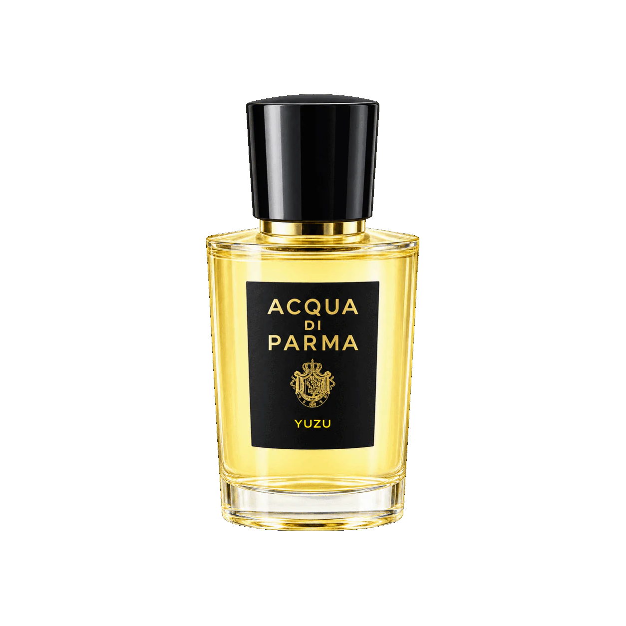 Acqua di Parma ユズの編集部制作色鉛筆イラスト