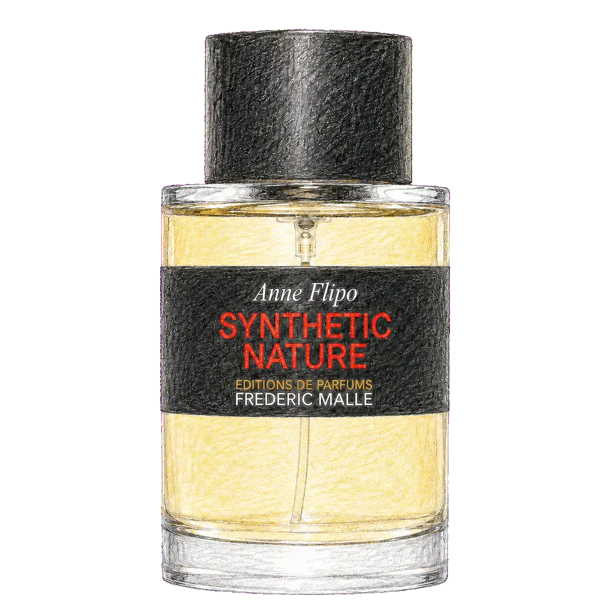 シンセティック ジャングルの編集部制作色鉛筆イラスト