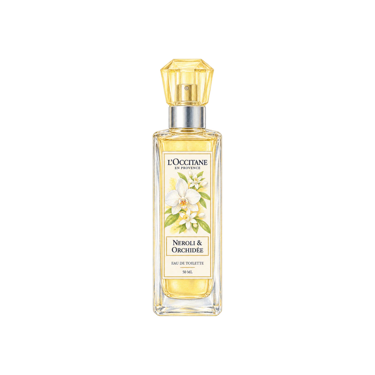 L'OCCITANE ネロリオーキデ オードトワレの編集部制作色鉛筆イラスト