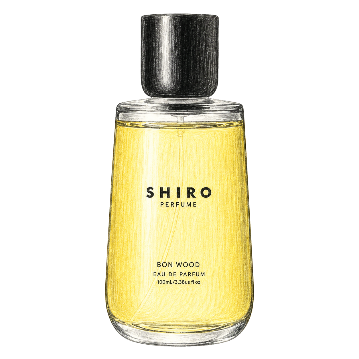 SHIRO ボン ウッド オードパルファンの編集部制作色鉛筆イラスト