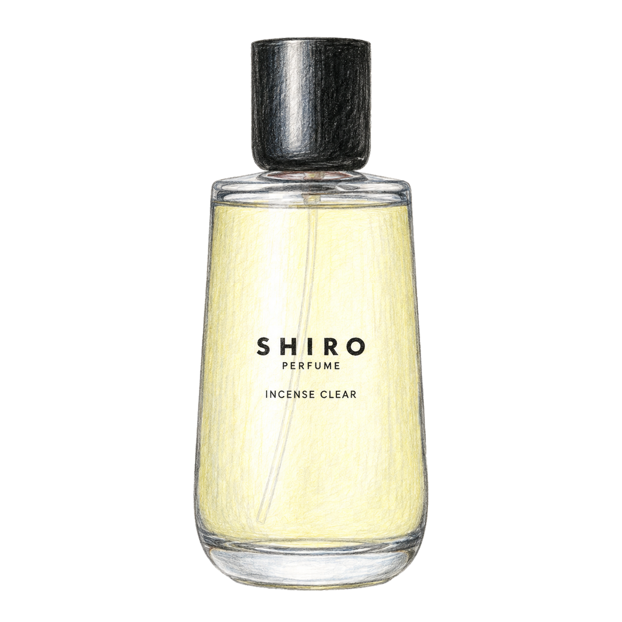 SHIRO インセンス クリア オードパルファンの編集部制作色鉛筆イラスト