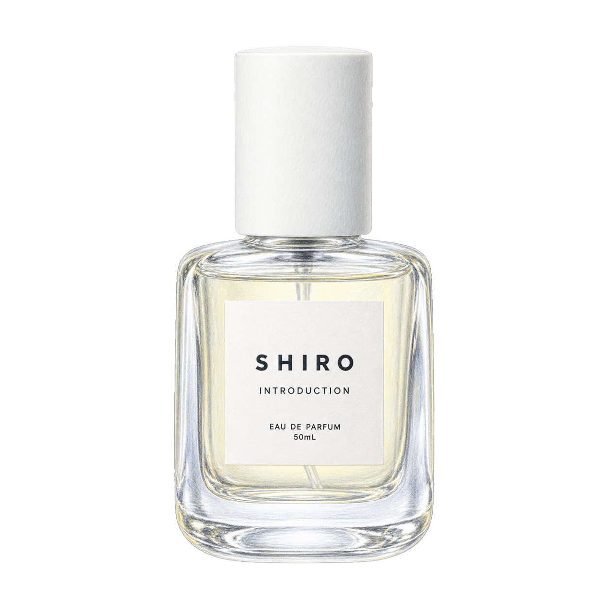 SHIRO イントロダクション オードパルファンの編集部制作色鉛筆イラスト