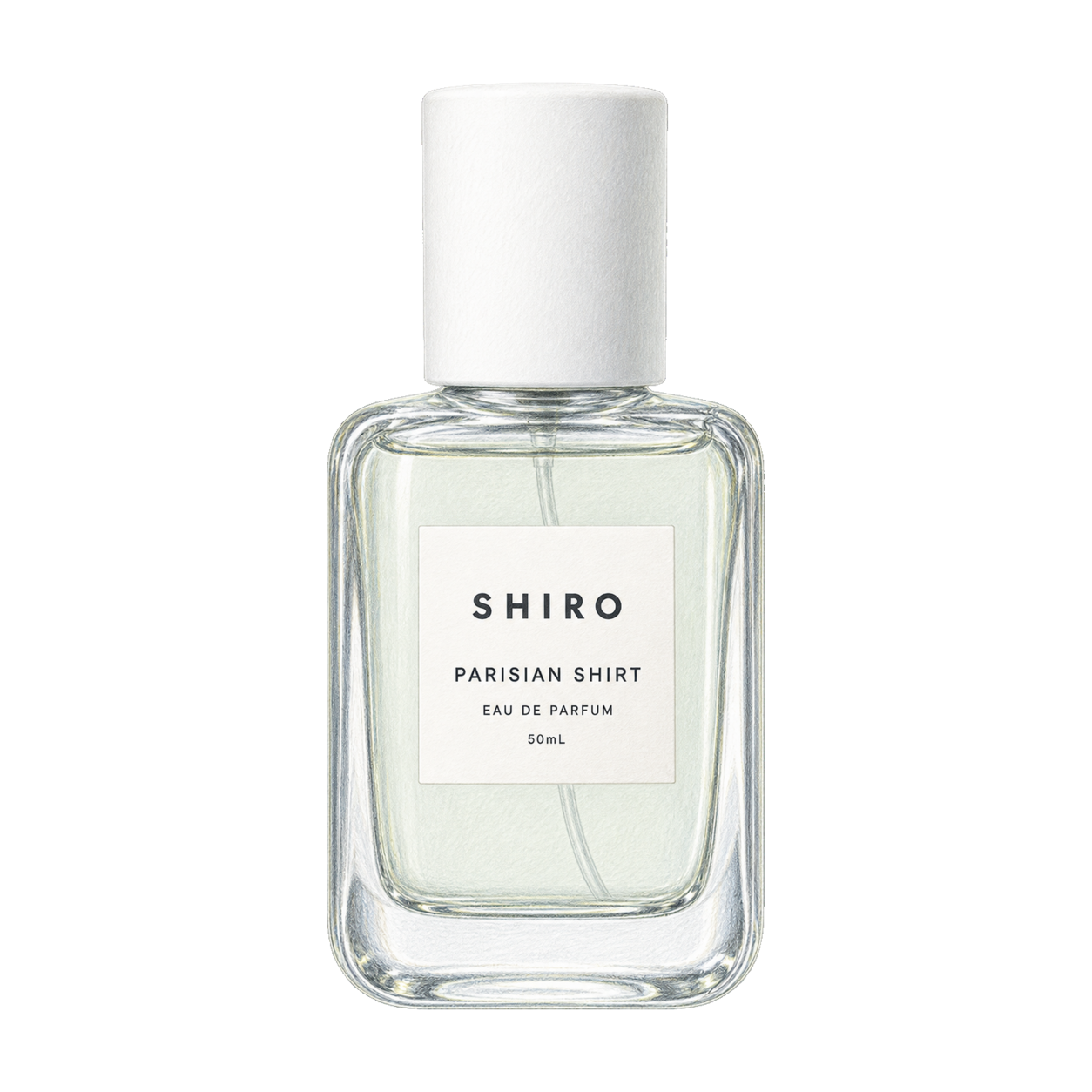 SHIRO パリジャン シャツ オードパルファンの編集部制作色鉛筆イラスト