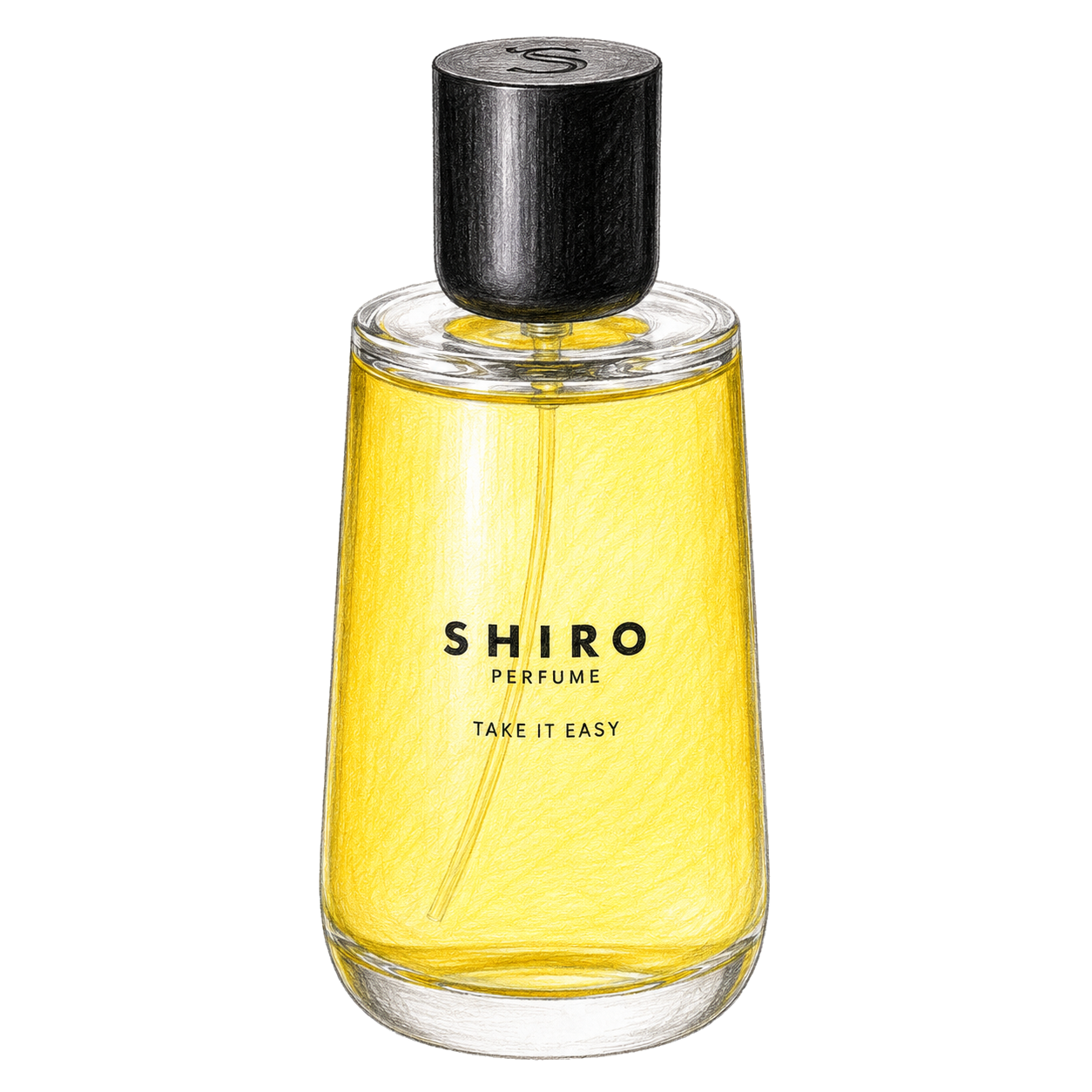 SHIRO テイク イット イージー オードパルファンの編集部制作色鉛筆イラスト