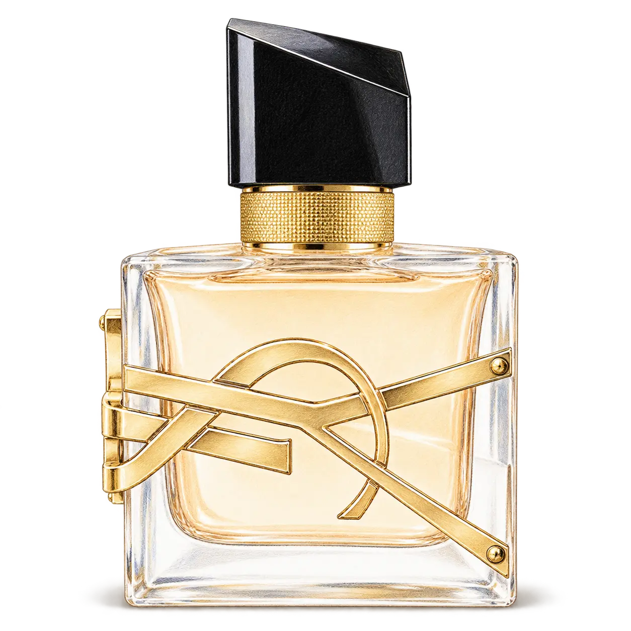 YSL BEAUTY リブレ オーデパルファム フローラルの編集部制作色鉛筆イラスト