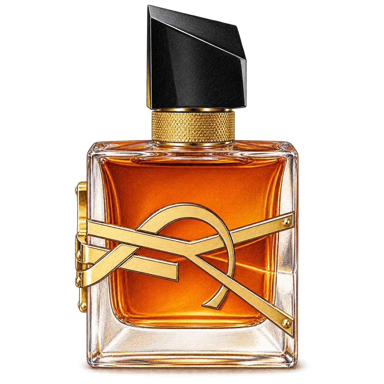 YSL BEAUTY リブレ オーデパルファム アンタンスの編集部制作色鉛筆イラスト