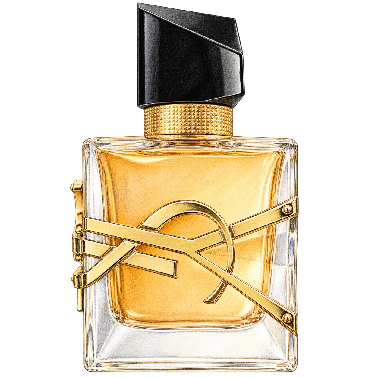 YSL BEAUTY リブレ オーデパルファムの編集部制作色鉛筆イラスト