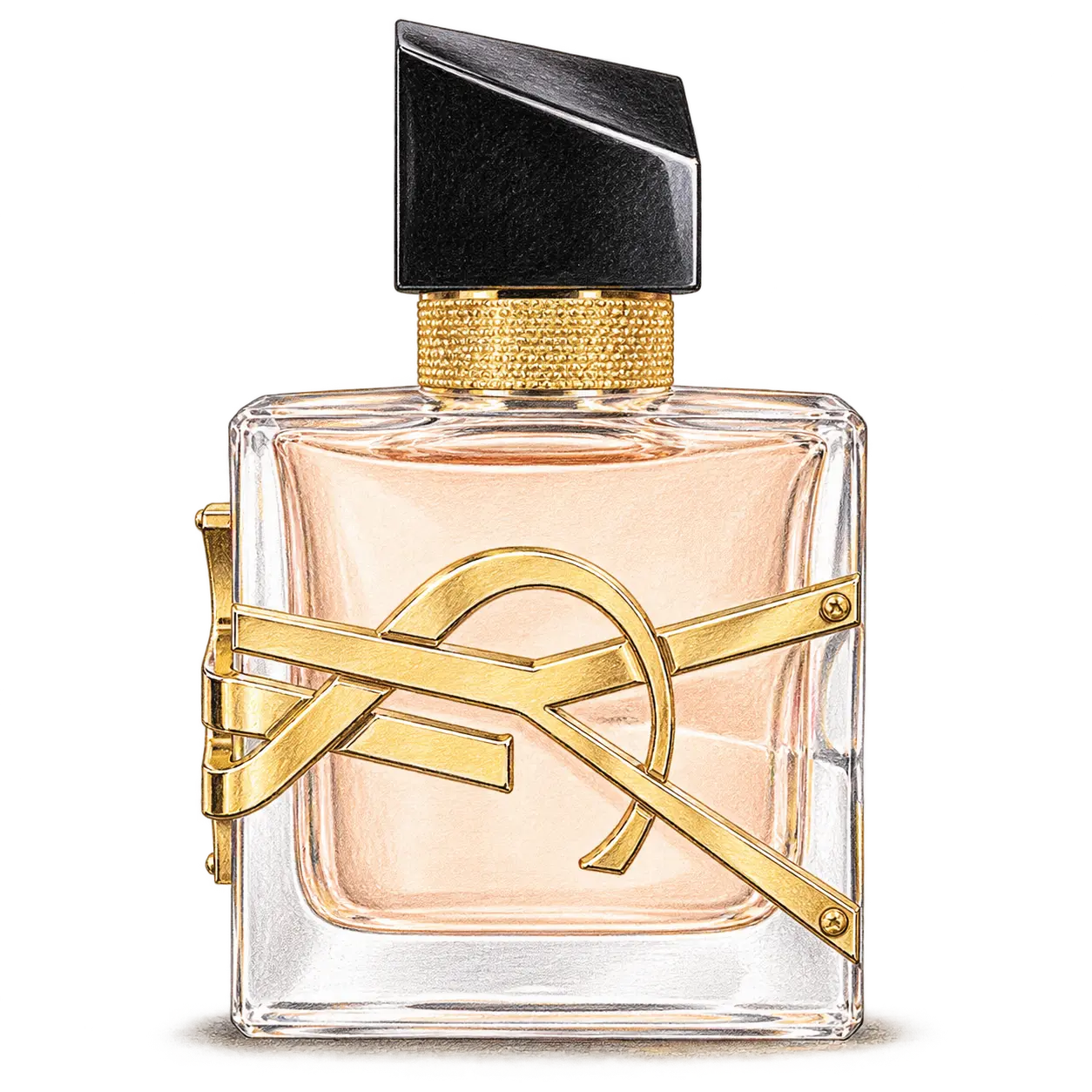 YSL BEAUTY リブレ オーデトワレの編集部制作色鉛筆イラスト