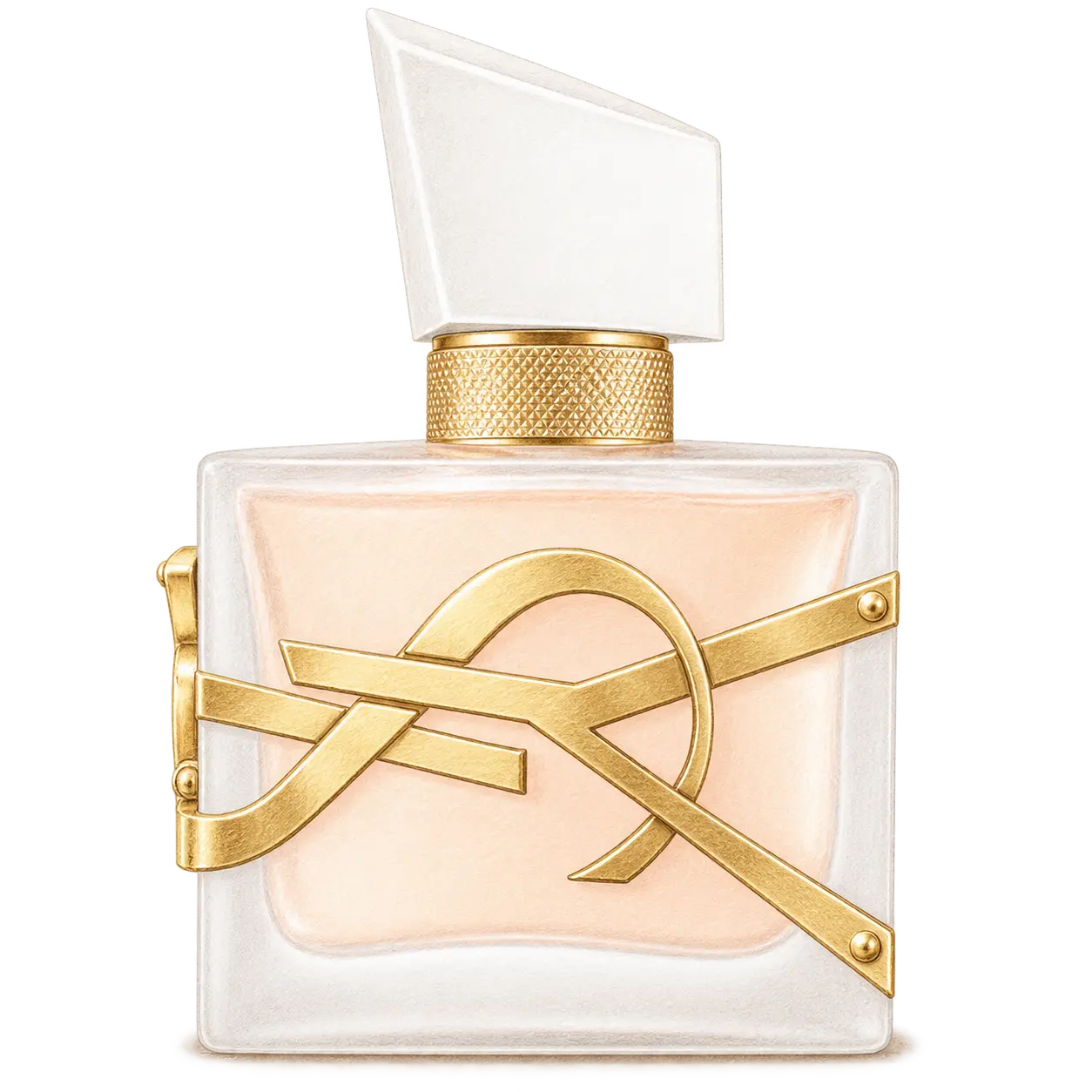 YSL BEAUTY リブレ ロー ニュの編集部制作色鉛筆イラスト