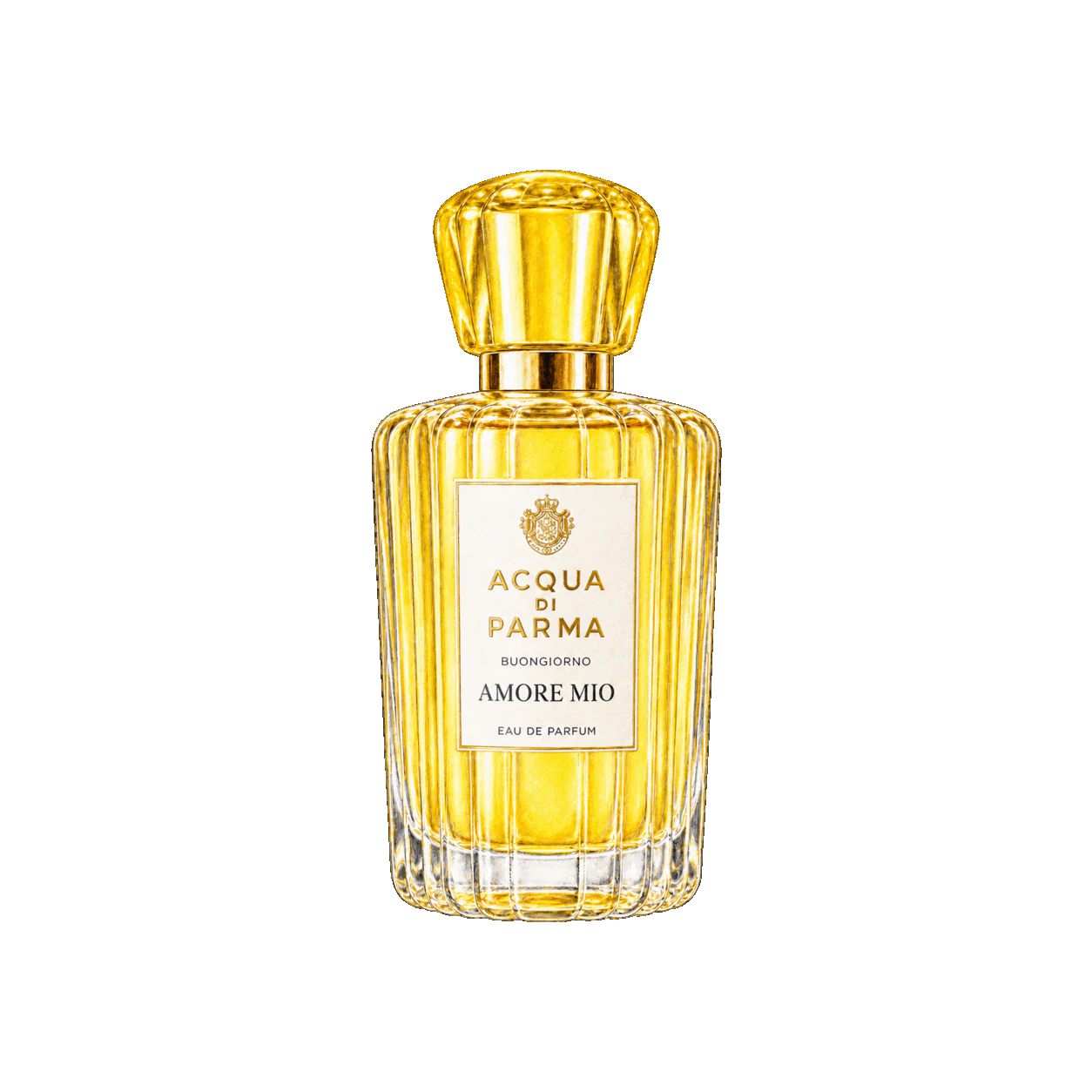 Acqua di Parma ブォンジョルノ アモーレ ミオの編集部制作イラスト