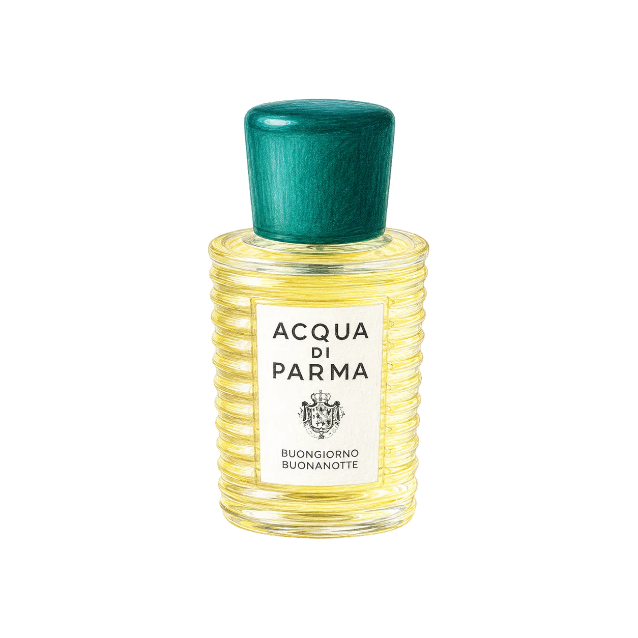 Acqua di Parma ブォンジョルノ ボナノッテの編集部制作イラスト