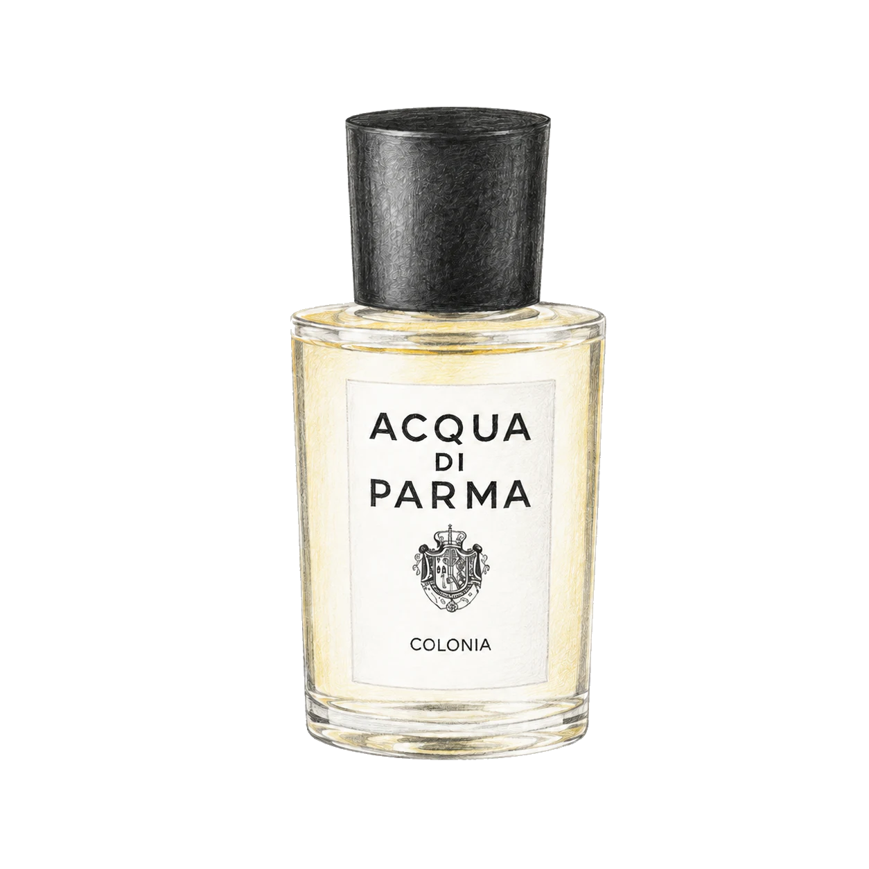 Acqua di Parma コロニアの編集部制作イラスト