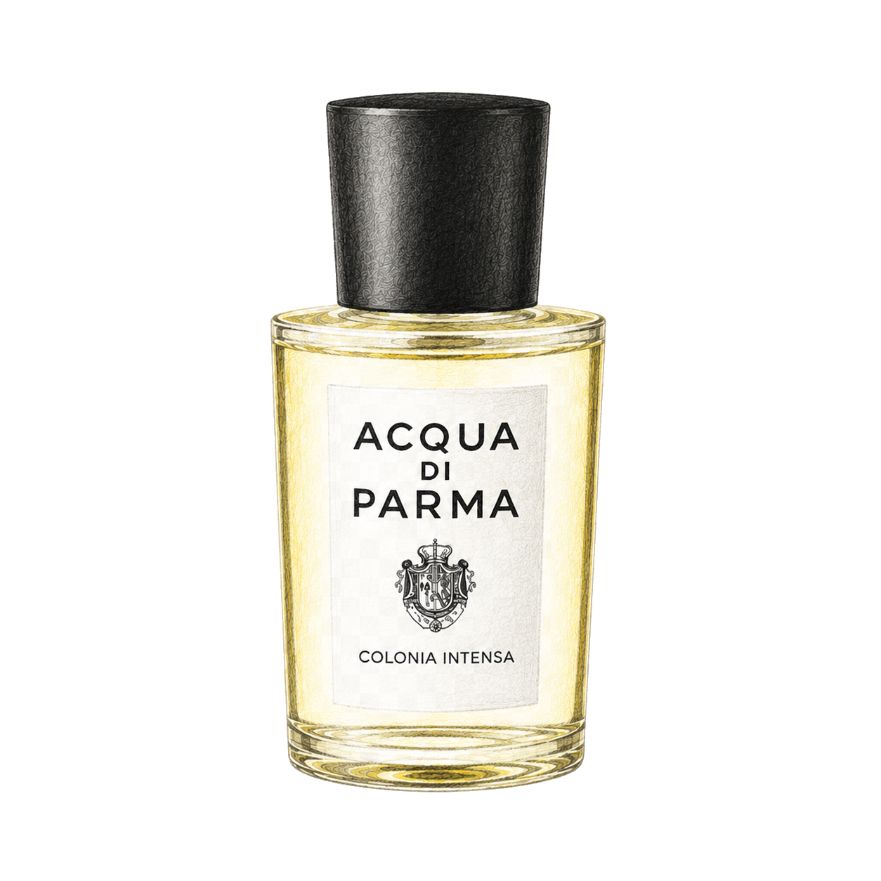 Acqua di Parma コロニア インテンサの色鉛筆イラスト
