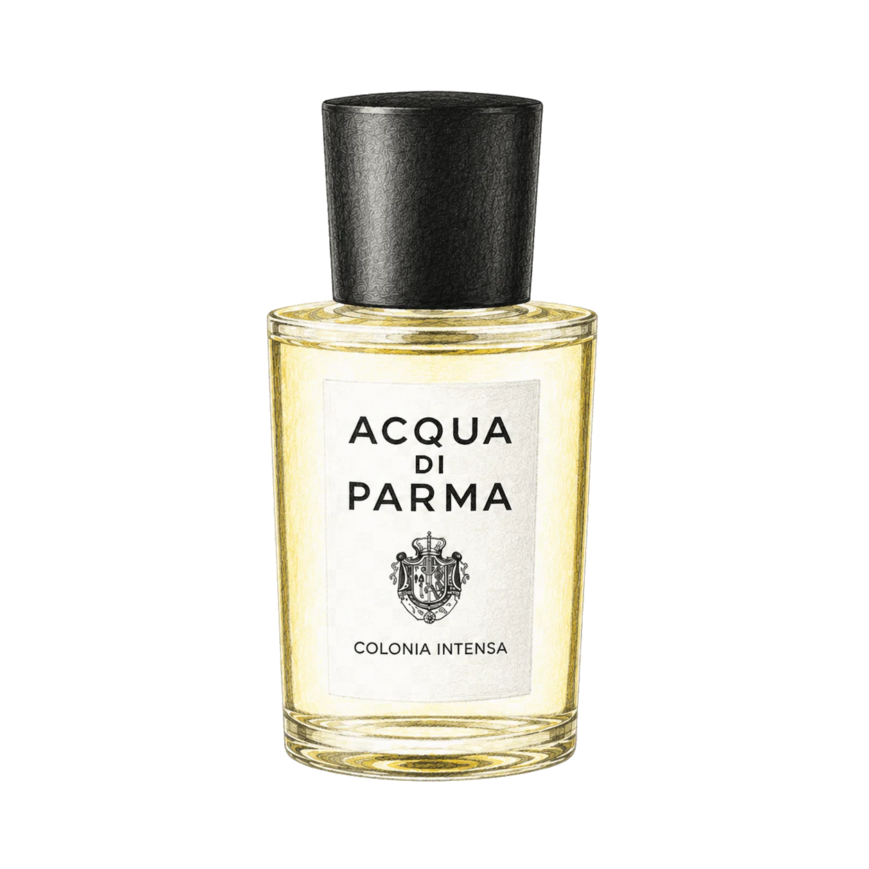 Acqua di Parma コロニア インテンサの編集部制作イラスト