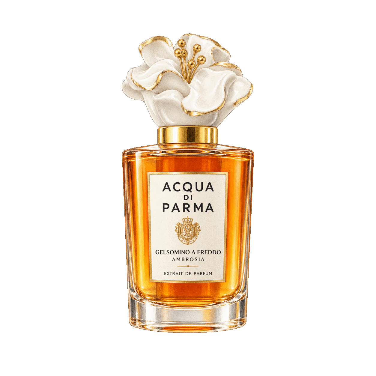 Acqua di Parma ジェルソミーノ ア フレッド アンブロシアの編集部制作イラスト