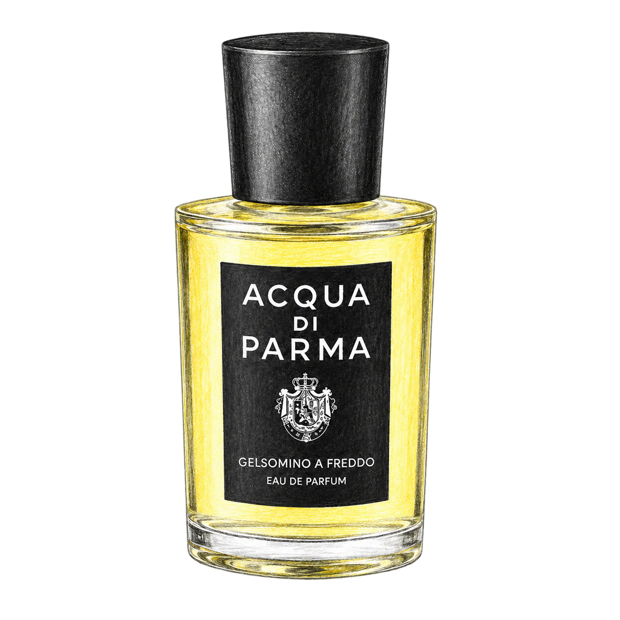 Acqua di Parma ジェルソミーノ ア フレッドの編集部制作イラスト