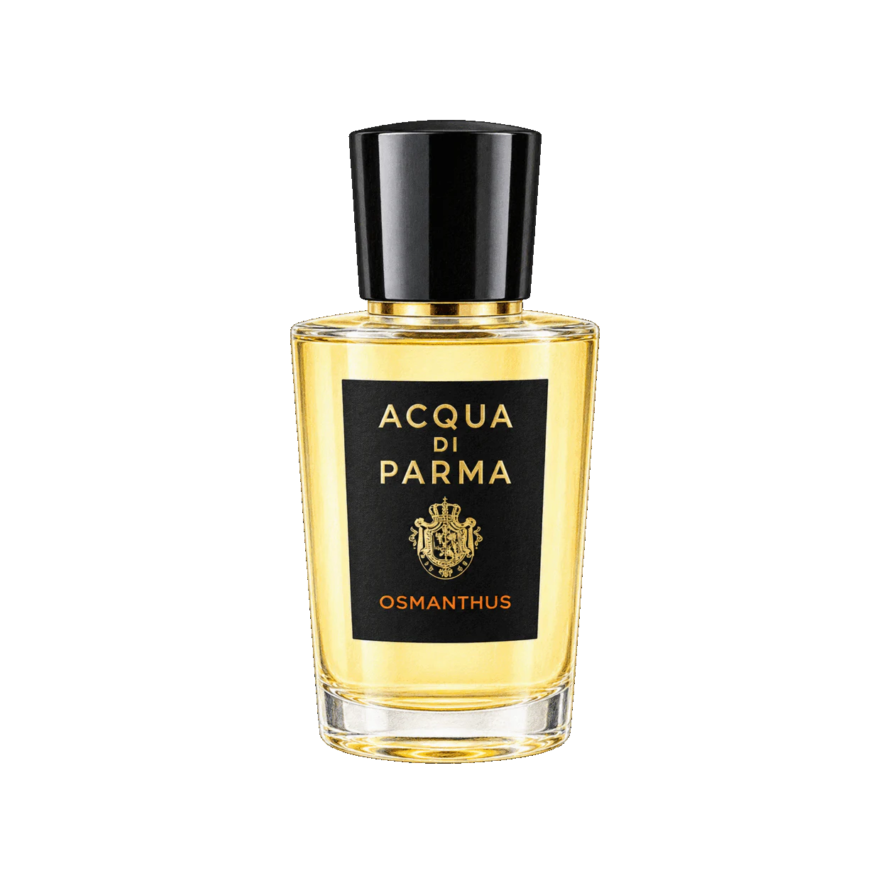 Acqua di Parma オスマンサスの編集部制作イラスト