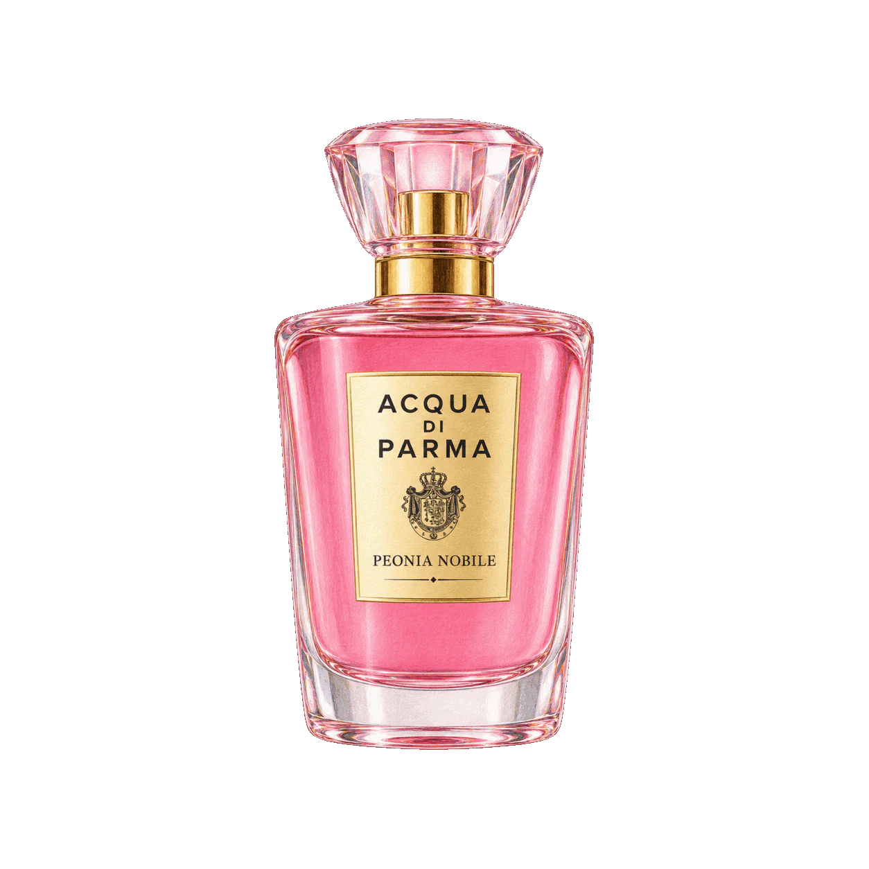 Acqua di Parma ペオニア ノービレの編集部制作イラスト
