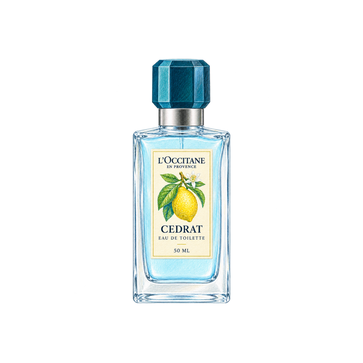 L'OCCITANE セドラ オードトワレの色鉛筆イラスト