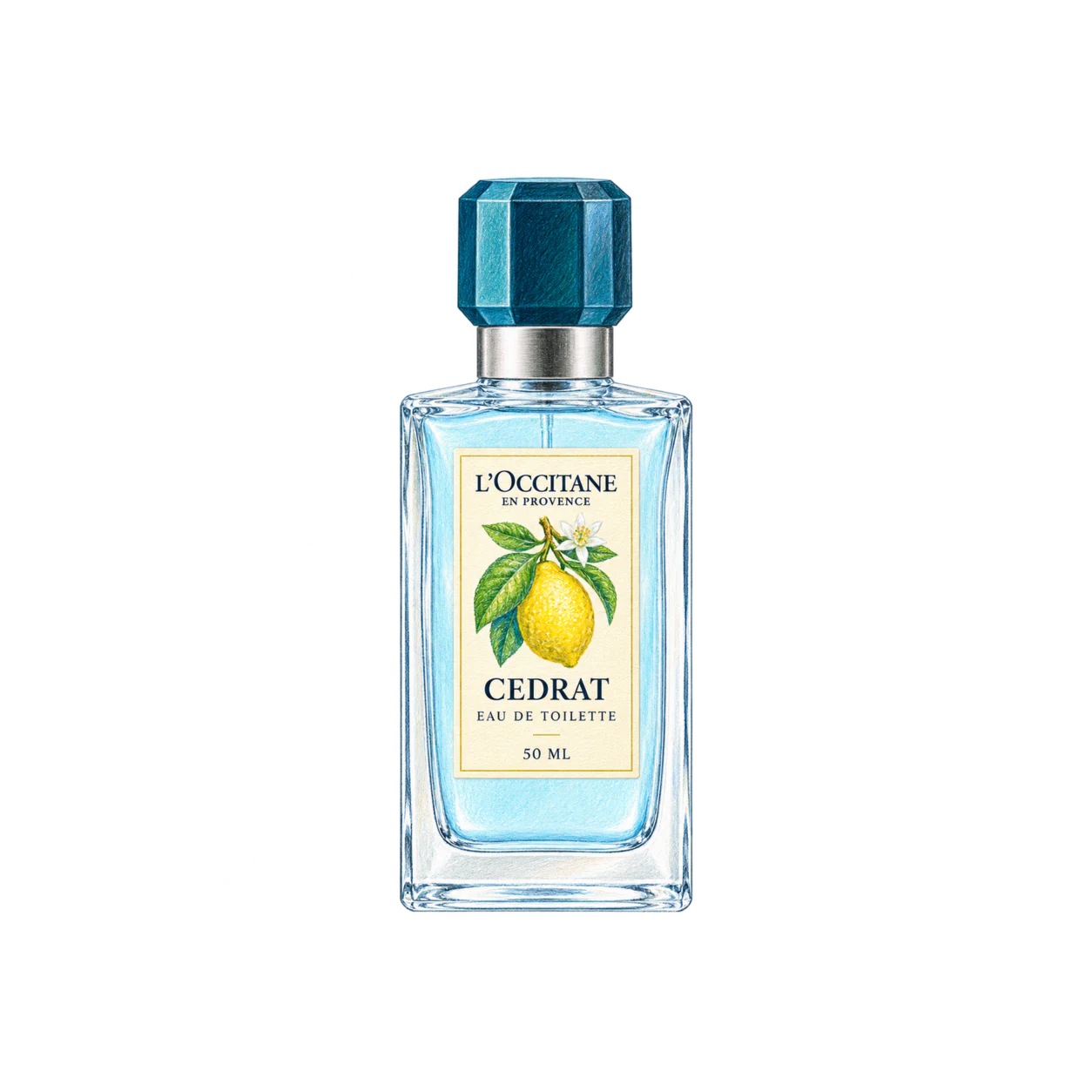 L'OCCITANE セドラ オードトワレの編集部制作イラスト