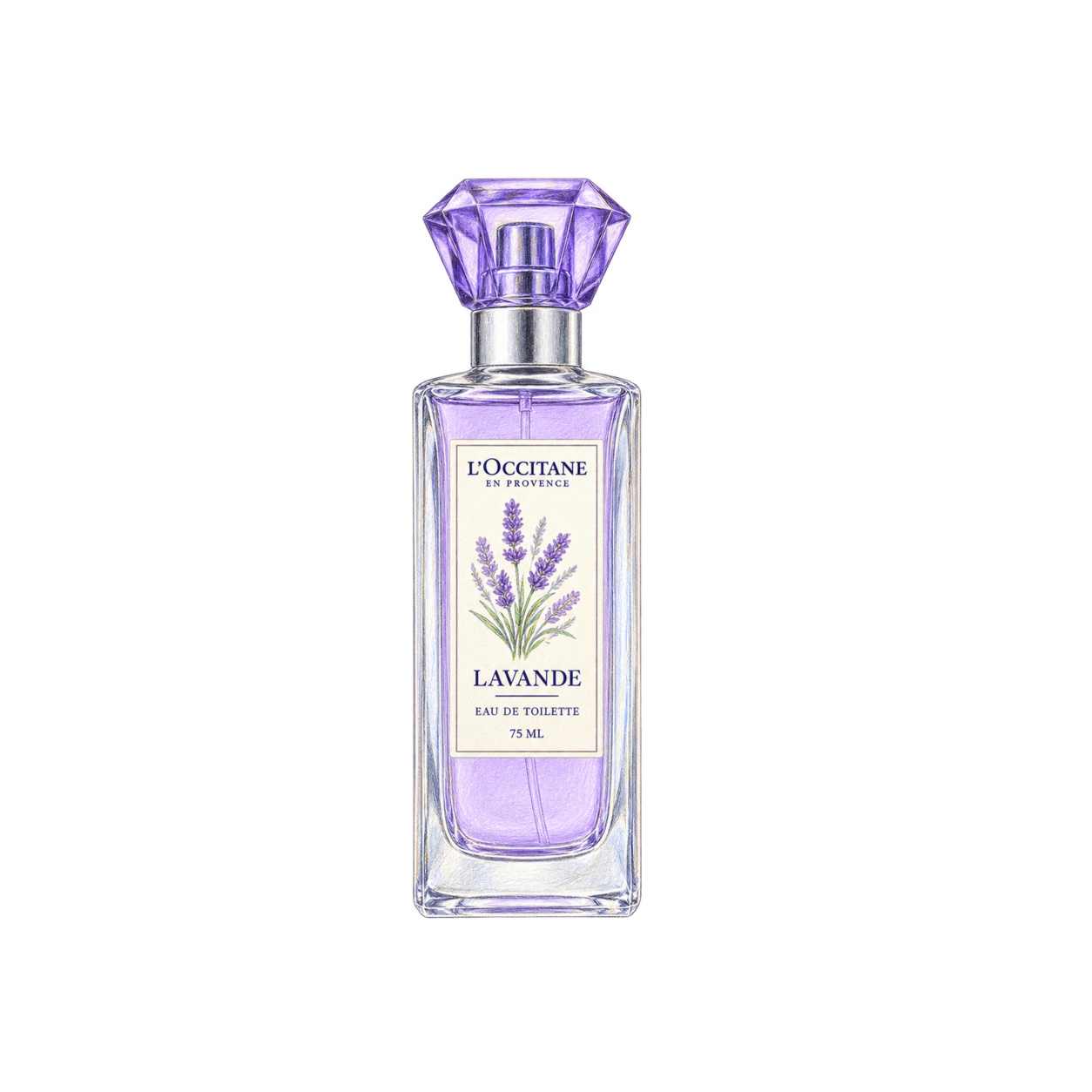 L'OCCITANE ラヴァンド［ラベンダー］オードトワレの色鉛筆イラスト