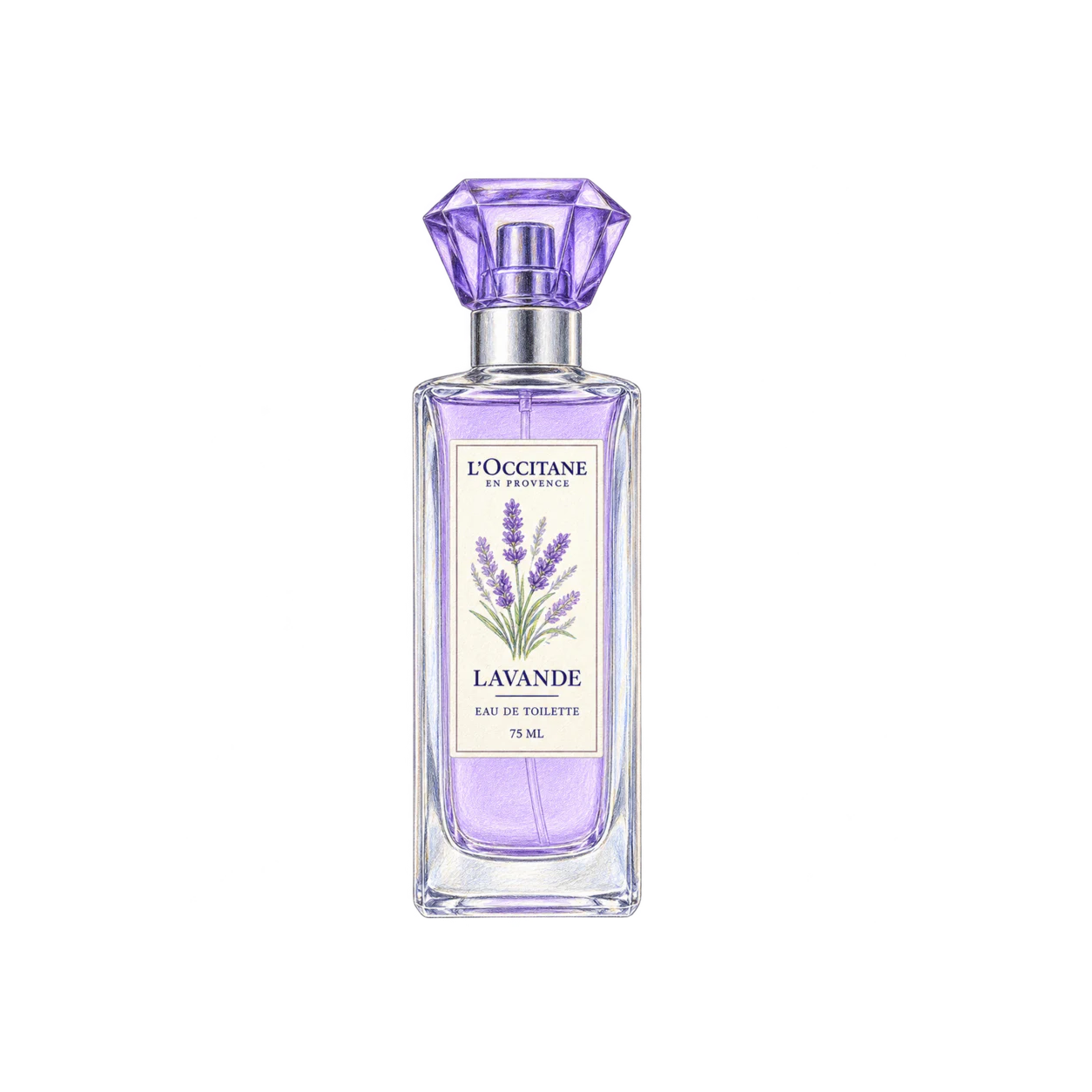 L'OCCITANE ラヴァンド［ラベンダー］オードトワレの編集部制作イラスト