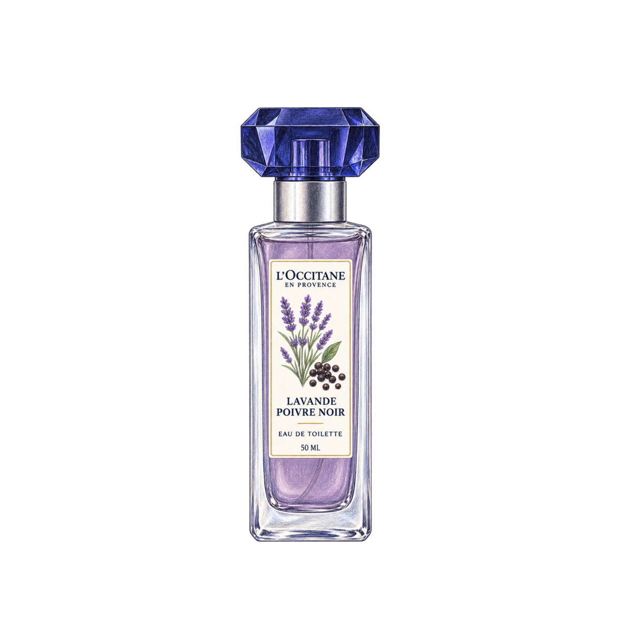 L'OCCITANE ラヴァンドポワーブルノワール［ロクシトン］オードトワレの色鉛筆イラスト