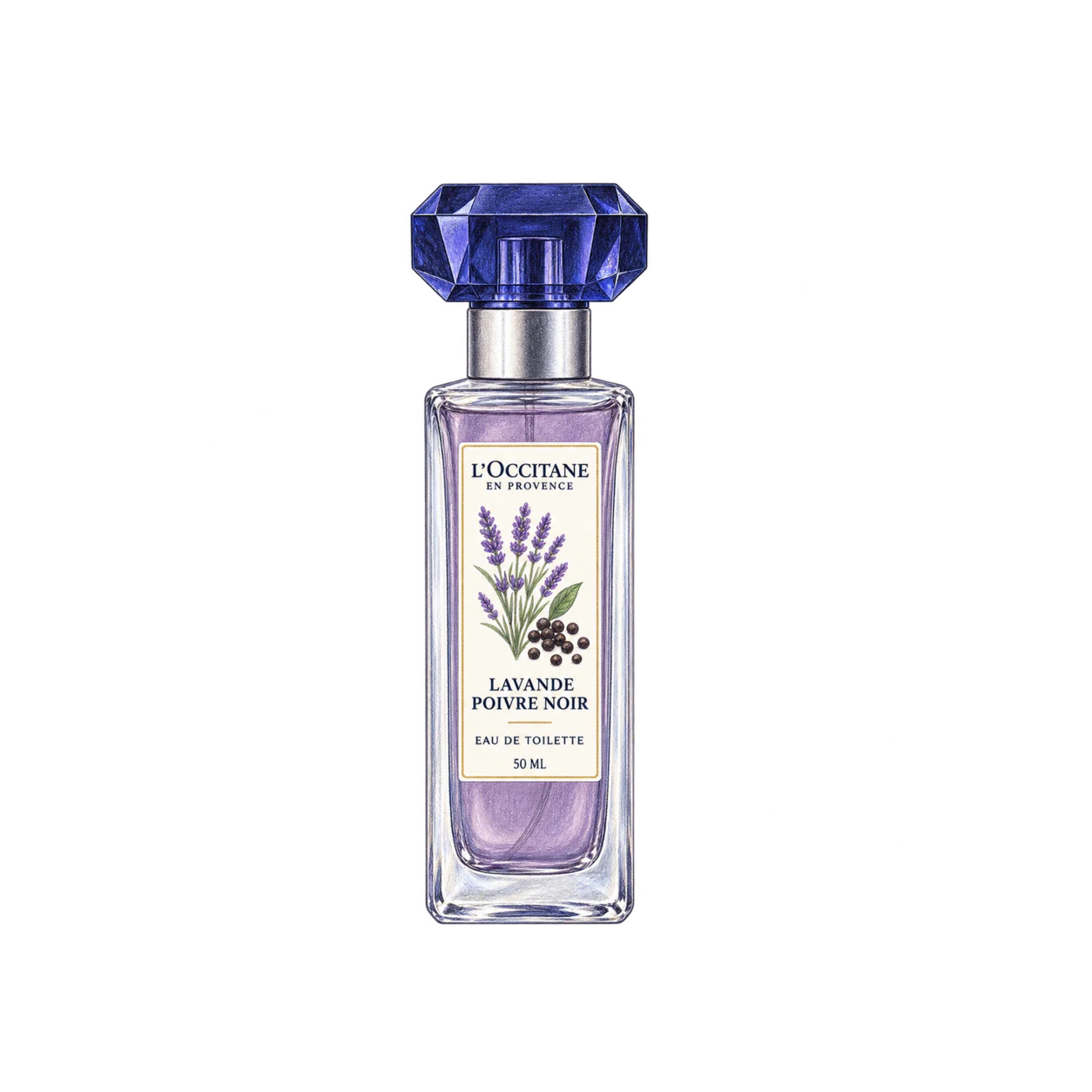 L'OCCITANE ラヴァンドポワーブルノワール［ロクシトン］オードトワレの編集部制作イラスト