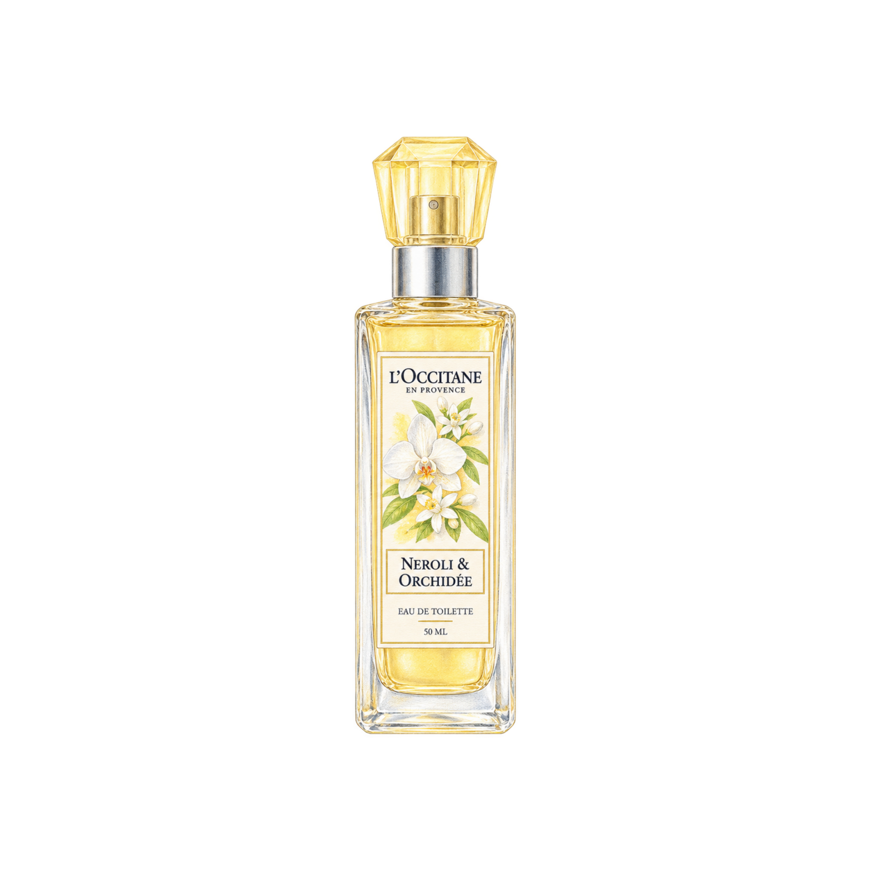 L'OCCITANE ネロリオーキデ オードトワレの編集部制作イラスト