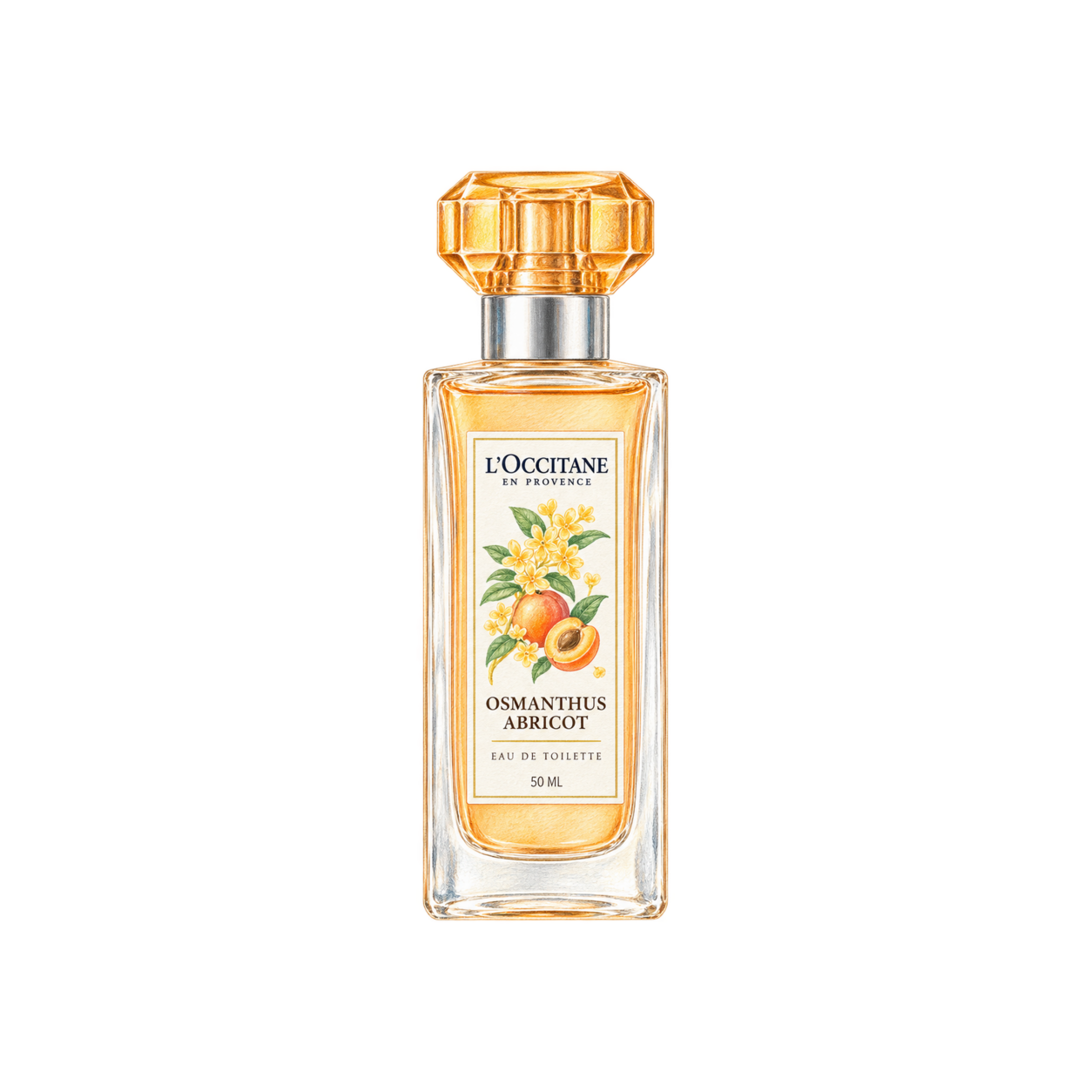 L'OCCITANE オスマンサスアブリコ［オスマンサス］オードトワレの編集部制作イラスト