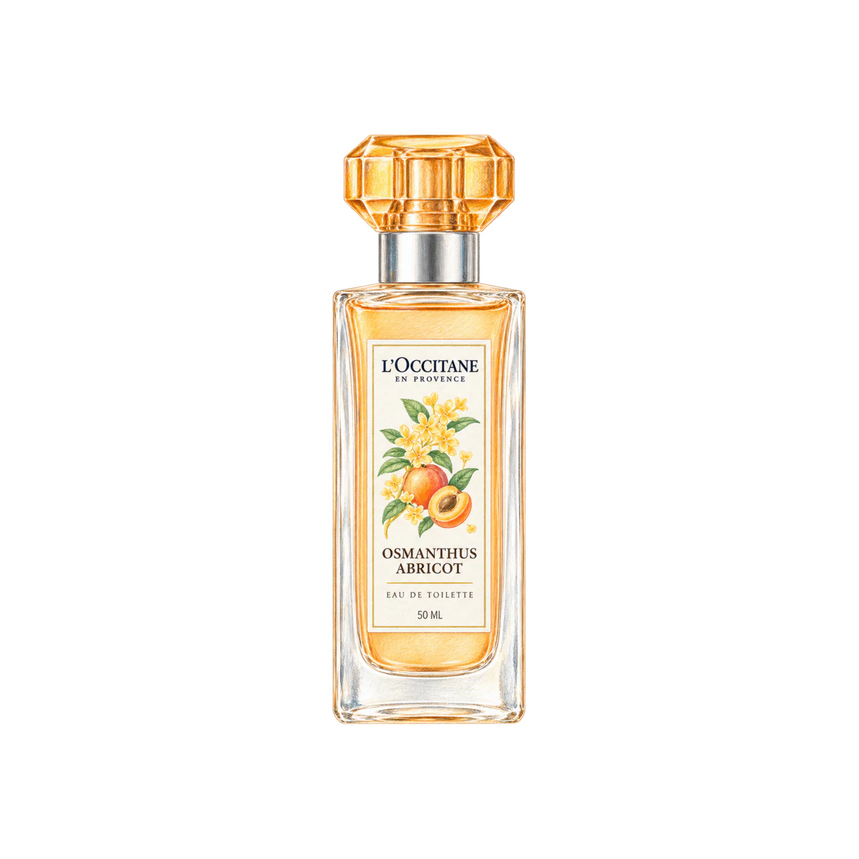 L'OCCITANE オスマンサスアブリコ［オスマンサス］オードトワレの編集部制作イラスト