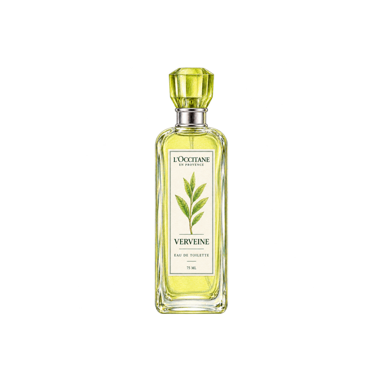 L'OCCITANE ヴェルヴェーヌ［ヴァーベナ］オードトワレの編集部制作イラスト